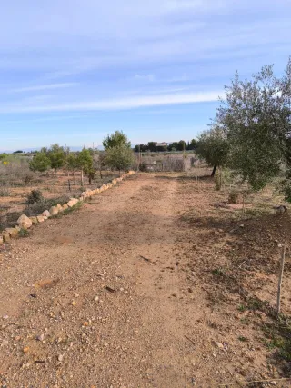 Vendo Finca rustica de uliveras 4000 metros cuadra