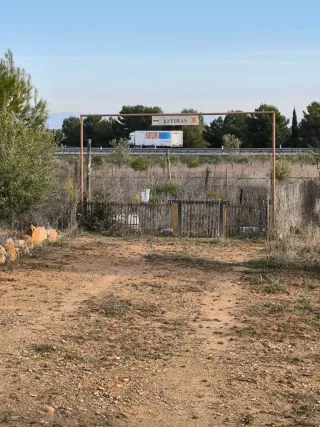 Vendo Finca rustica de uliveras 4000 metros cuadra