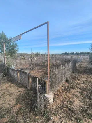 Vendo Finca rustica de uliveras 4000 metros cuadra