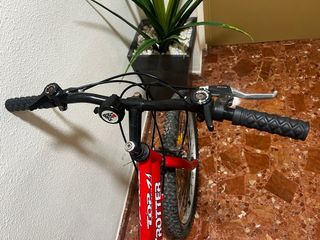 Bicicleta Top Trotter Rodada 20-22