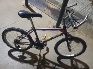 Bicicleta infantil morada