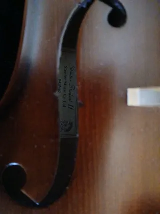 Viola StentorII. De 15 pulgadas, con funda y arco