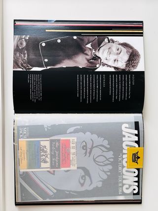 Libro Los Tesoros de Michael Jackson Coleccionista