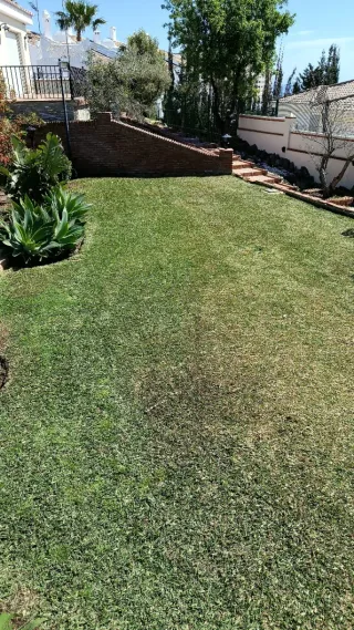 Mantenimiento de piscinas jardínes electricidad