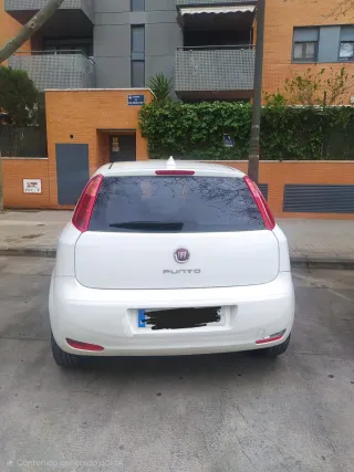 FIAT Punto 2017 en Alquiler