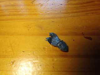 Trajann Valoris Adeptus Custodes Warhammer