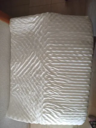 Colchón cama Ortopédico para Perro