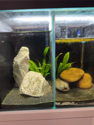 Acuario Bettera 180x35 cm