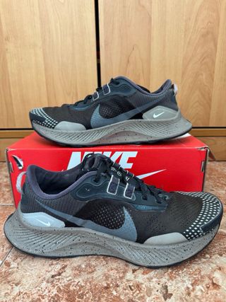 Nike Pegasus Trail