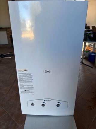 Termo de gas Neckar WRN10-4 KB R 31 NE