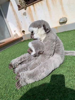 Peluche Ikea Sandlöpare Cercopiteco con cría