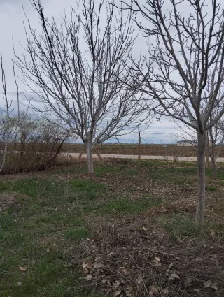 Parcela con naves en Salobral