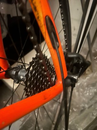 Bici Carretera Thompson Carbono