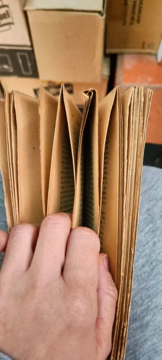 Raccolta di Libri Antichi: Il Signore di Bembibre