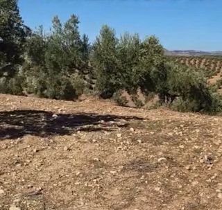 Finca rústica Begijar (zona Delicias)