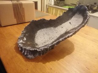 Lastra in cemento per bonsai