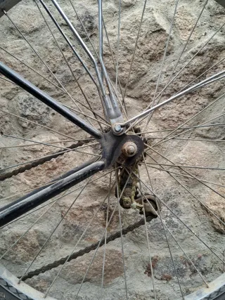 Bicicleta Orbea Antigua