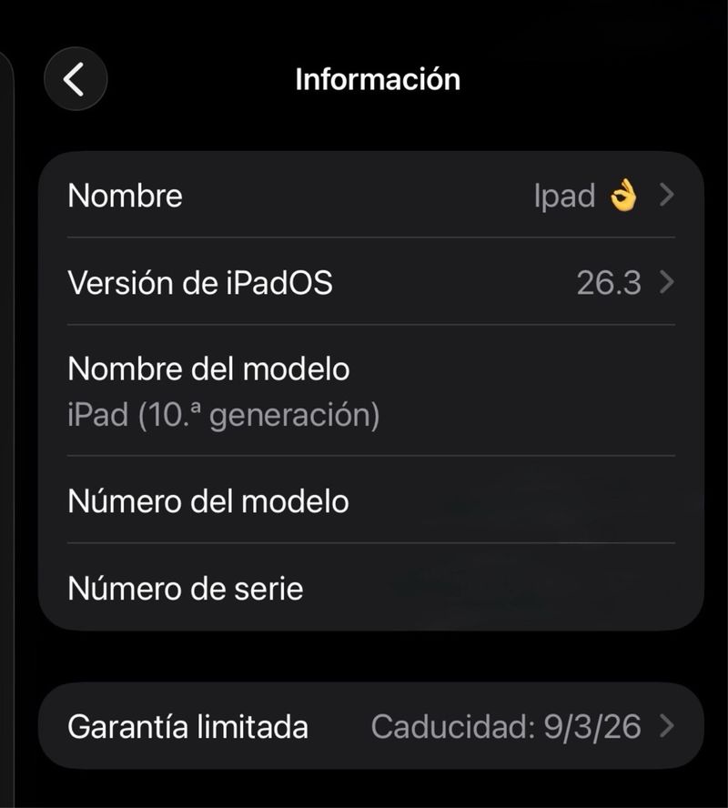 iPad Wi-Fi de 10,9 pulgadas y 256 GB - afbeelding 3