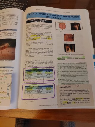 Libro exámenes oposicion médico familia,