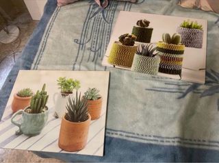 Cuadros decorativos plantas