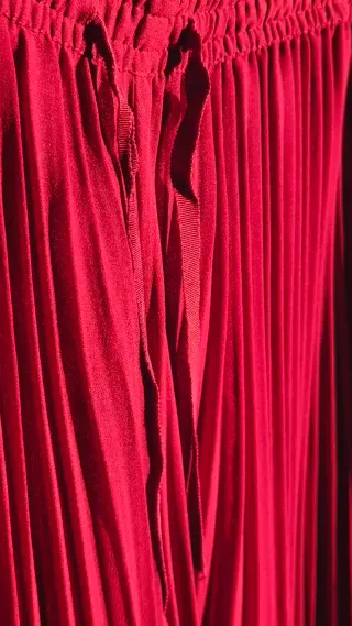 Falda pantalón plisada granate