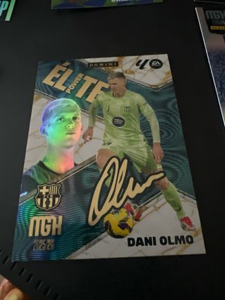 Lote de cromos MGH 2020-21