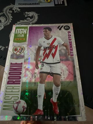 Lote de cromos MGH 2020-21