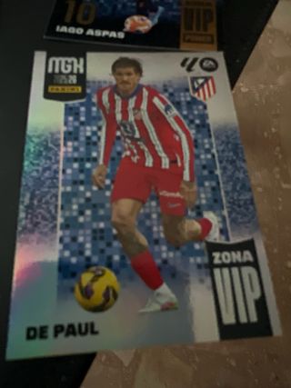 Lote de cromos MGH 2020-21