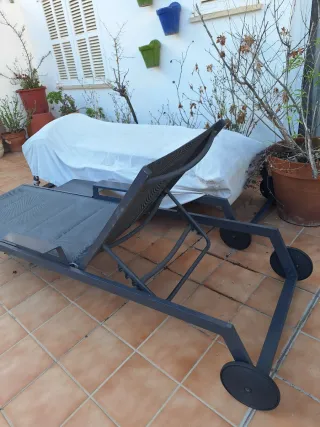 Dos tumbonas de exterior