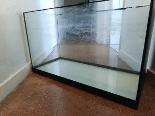 Acuario Pecera