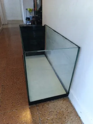 Acuario Pecera