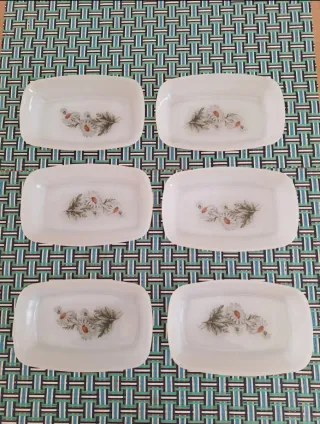 Rabaneras Arcopal Flores Margaritas x6