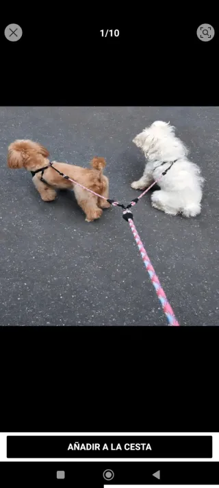Correa doble para mascotas