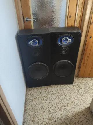 Pareja de altavoces negros.