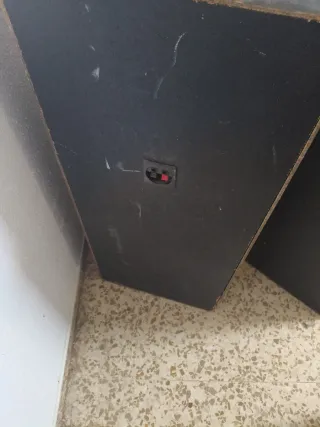 Pareja de altavoces negros.