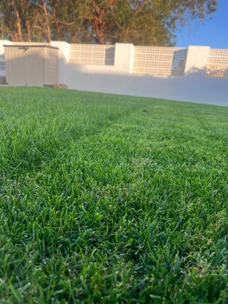 Trabajos de Jardineria