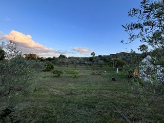Trabajos de Jardineria