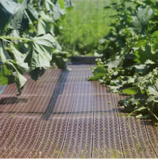 Baldosas Drenantes Antihumedad césped artificial