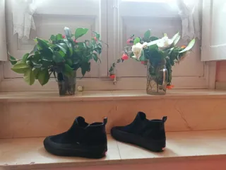 Zapatillas Vans Negras Talla 43