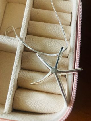 Colgante estrella de mar plata y joyero