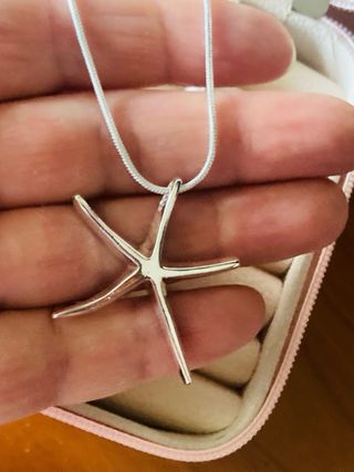 Colgante estrella de mar plata y joyero
