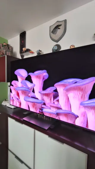 TV Samsung OLED S95B 55"