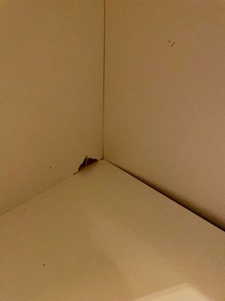 Armario puertas correderas Mobiprix Blanco URGE