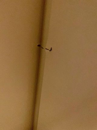 Armario puertas correderas Mobiprix Blanco URGE