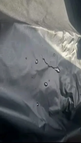 Protector de maletero impermeable para perros