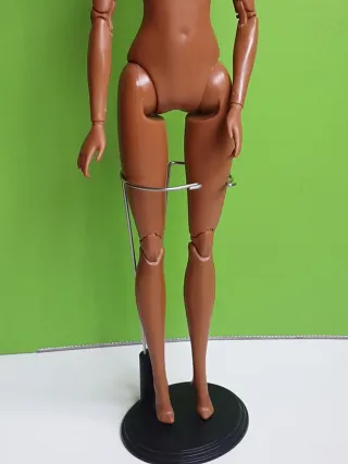 Barbie African American, Articolata
