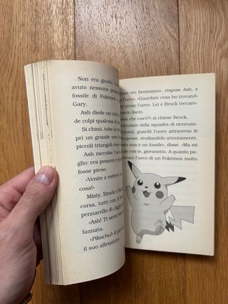 Libro Pokémon