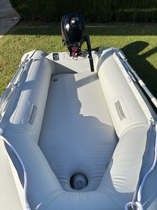 Embarcación neumática 249 +  Mercury 3,5cv