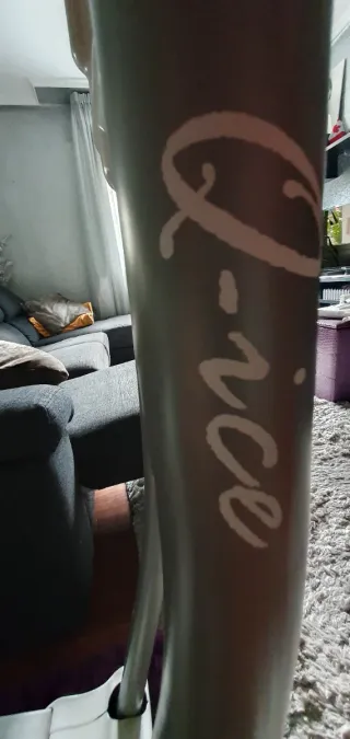 Elíptica SALTER Q-ice