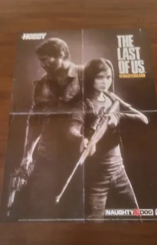 Lote pósters videojuegos